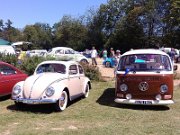 Beetle Show Rioz (101)